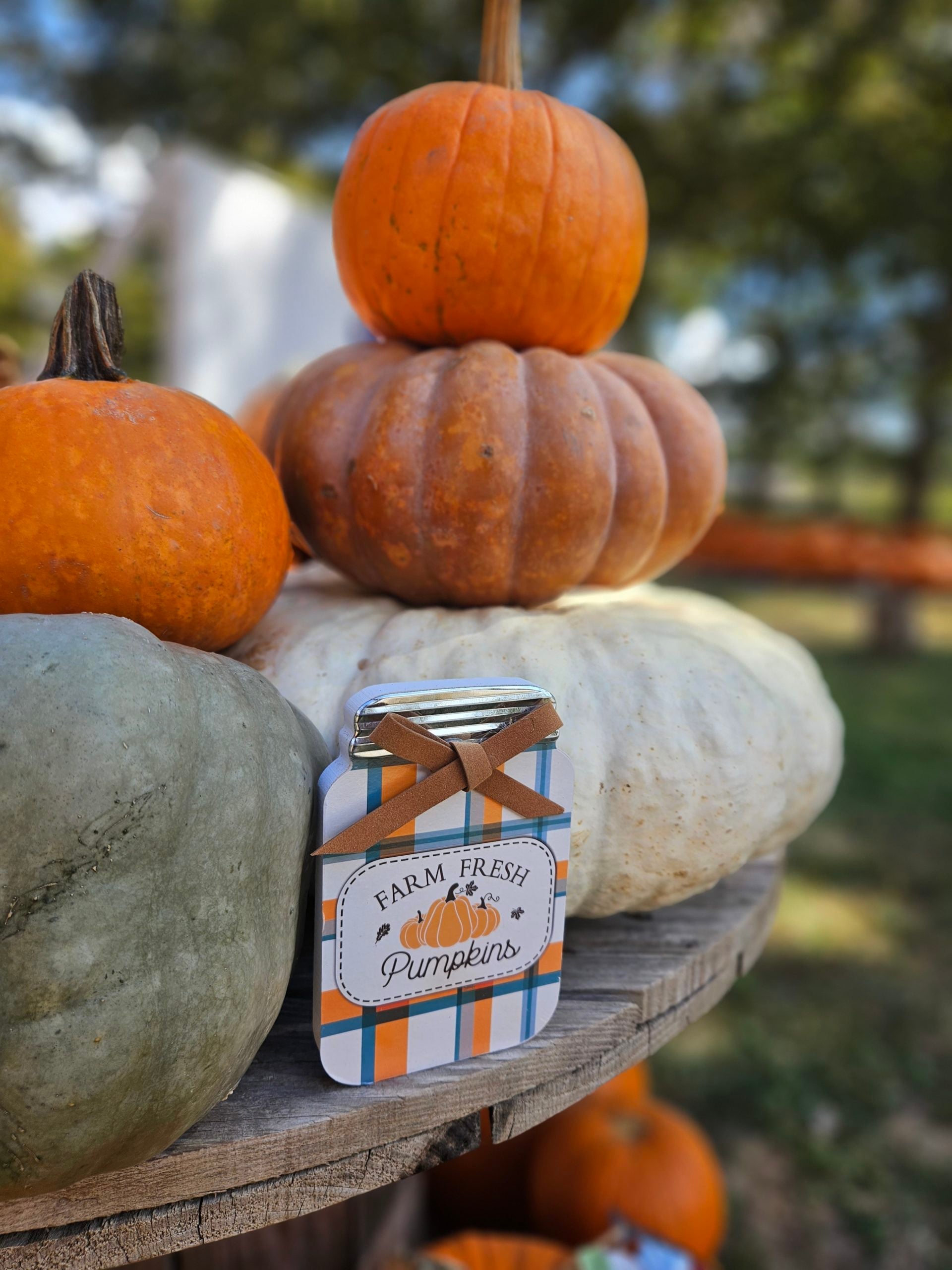 Stacked heirloom pumpkins with a Farm Fresh Pumpkins sign